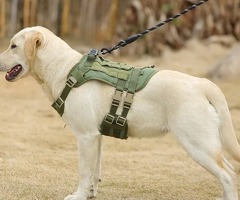 Тактическая/тактична шлейка для собак