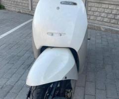 Сдам в аренду скутер Honda Tact - 7