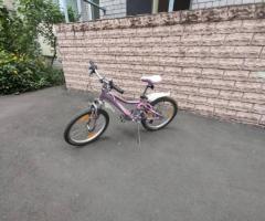 Велосипед Giant Areva 2 24 7-Speed 2016