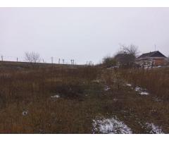 Земельна ділянка в ялинках - 2