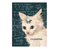 Математика + Шахи — висока якiсть iндивiдуальних занять