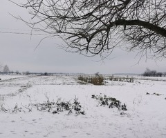 Житловий будинок, 80 соток земельної  ділянки, з торгом!