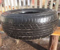 Шины р17  255\65 dunlop.